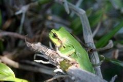 Killikus&reg; Fotographie